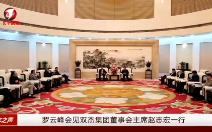 合肥市市长罗云峰会见凯发k8一触即发集团董事会主席赵志宏一行